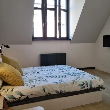 Cozy Apartment Wroclaw